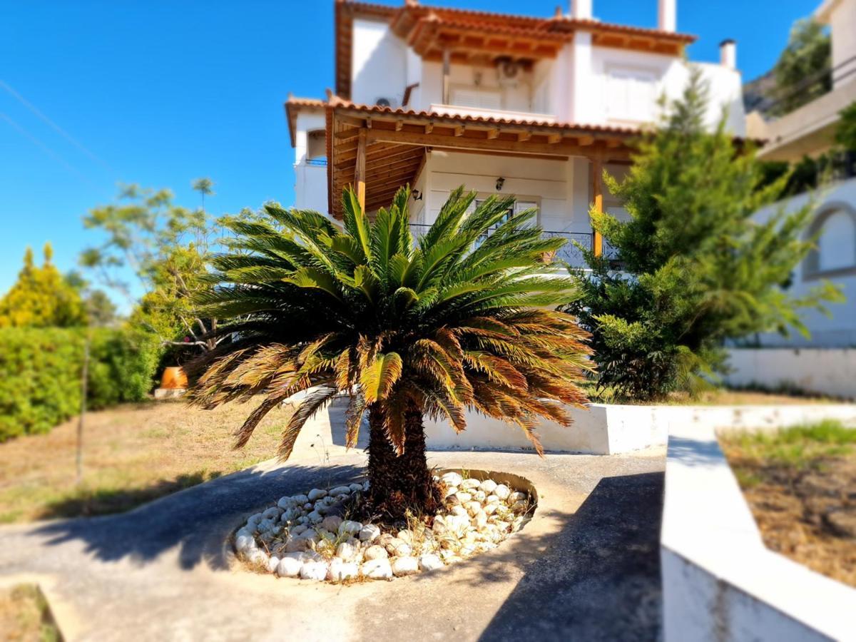 Villa Liana : Luxury Villa With Fantastic Sea View, Near Airport Porto Rafti Exterior photo
